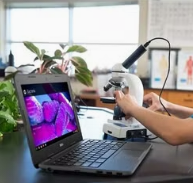 Generic USED- PLAY STORE Chromebook 3180 (2017)