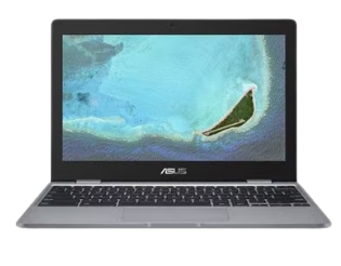ASUS C223NA-GJ0086 Chrome Book